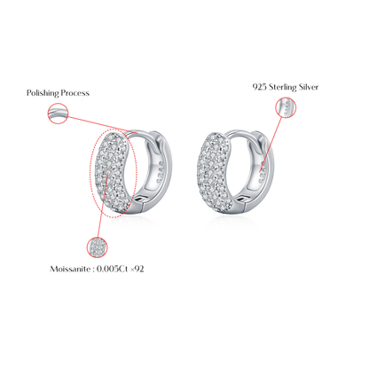 Moissanite Circle Hoop Earrings