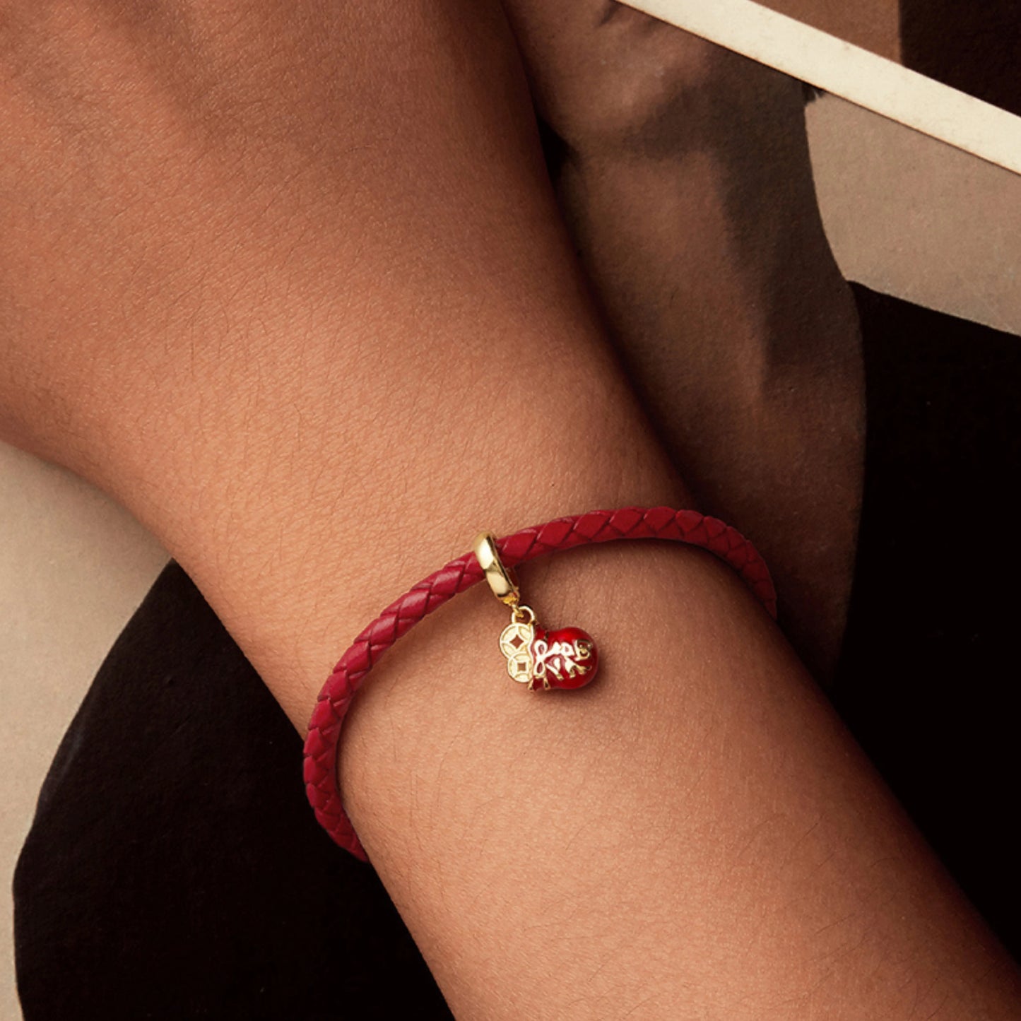 Lucky Bag & Cat Charm - MARCOSELLE