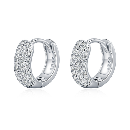 Moissanite Circle Hoop Earrings