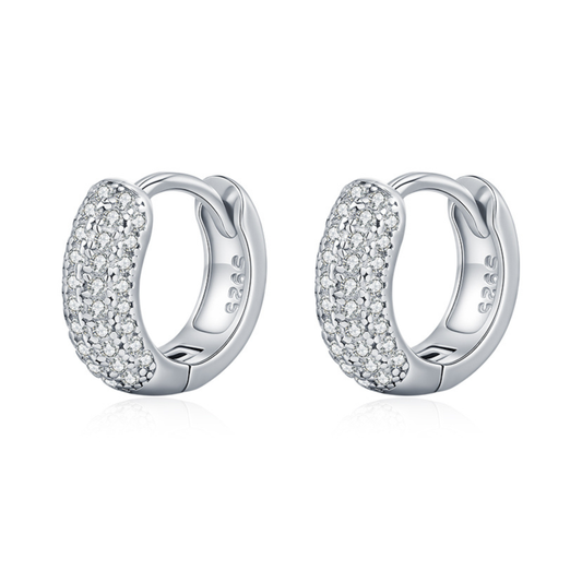 Moissanite Circle Hoop Earrings