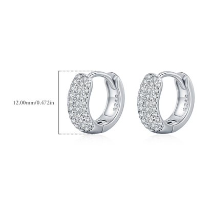 Moissanite Circle Hoop Earrings